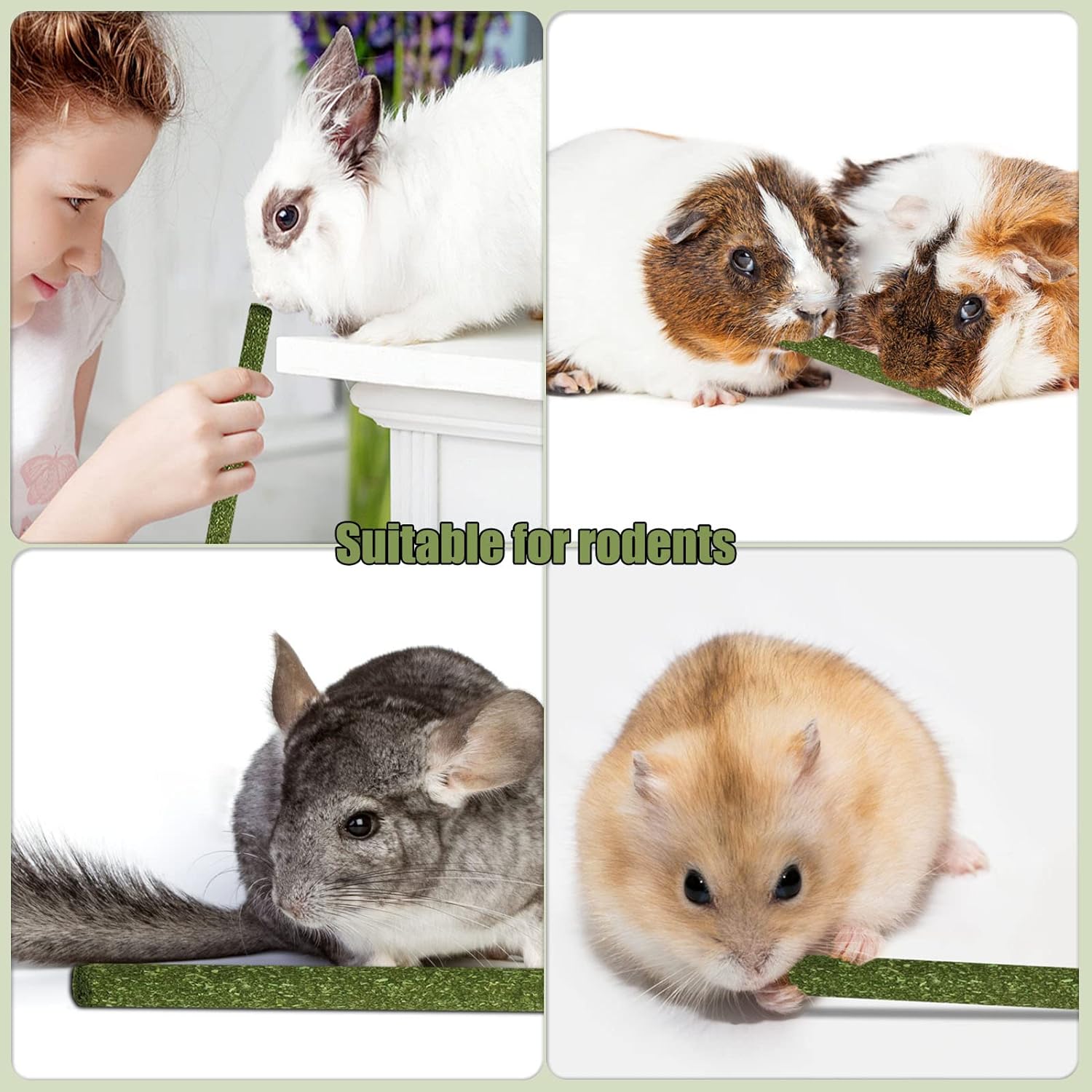 Chew stick for hamster shops